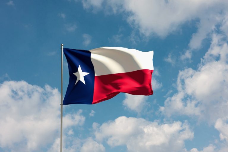 Texas state flag