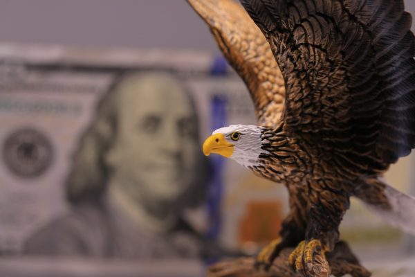 Bald Eagle and US dollar
