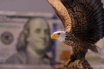 Bald Eagle and US dollar